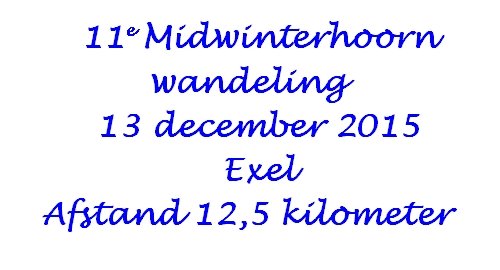 emidwinterhoornwandelingteexel.jpg