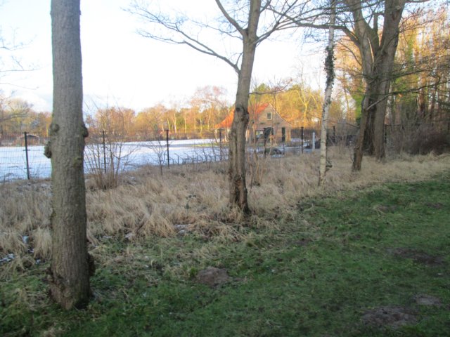 img_5113.jpg