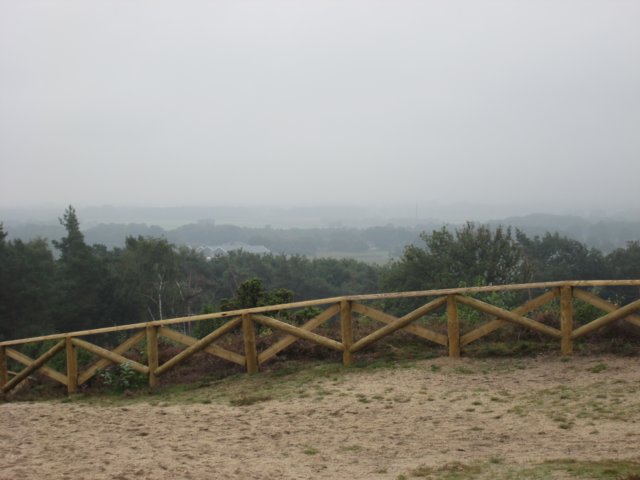 img_7885.jpg