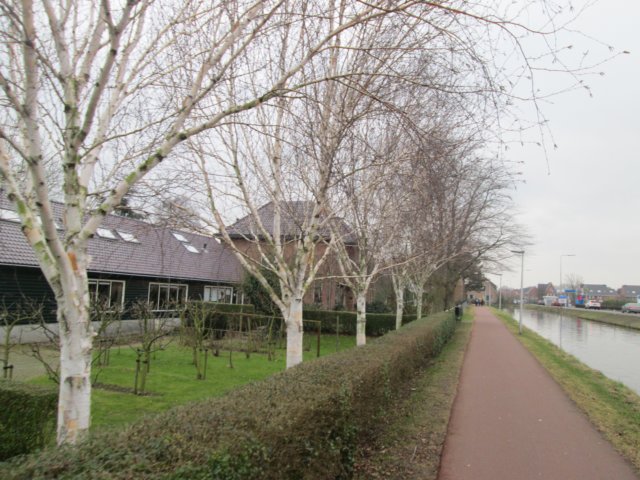 img_5587.jpg