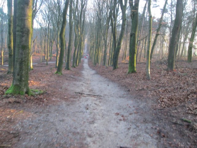img_5014.jpg