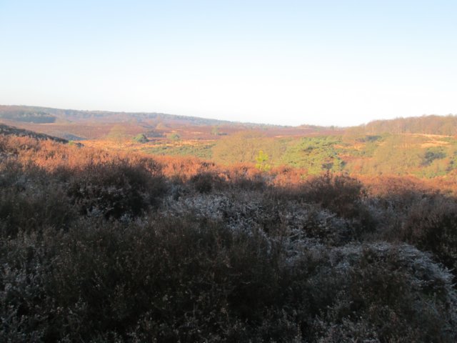 img_5034.jpg