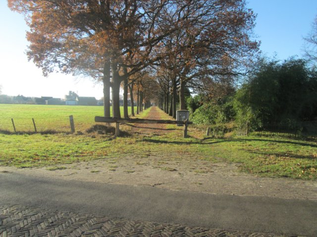 img_2010.jpg