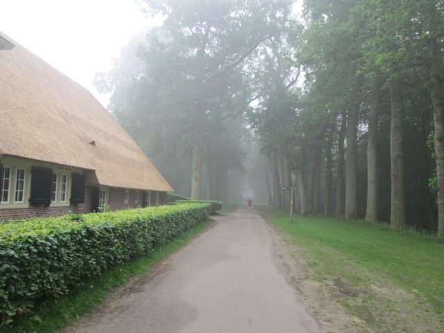 img_0376.jpg