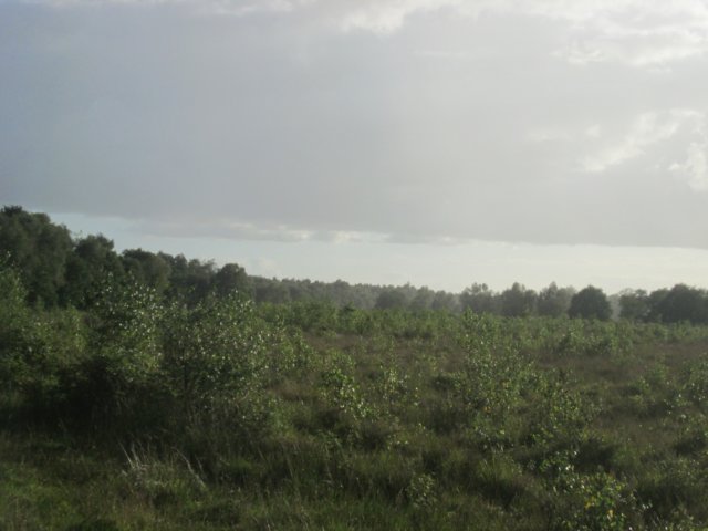 img_0741.jpg