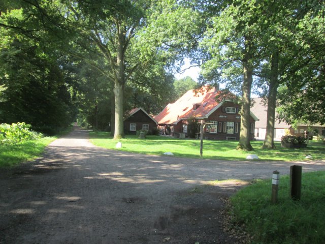 img_0899.jpg