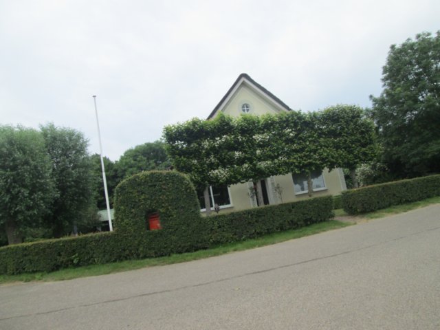 img_0590.jpg