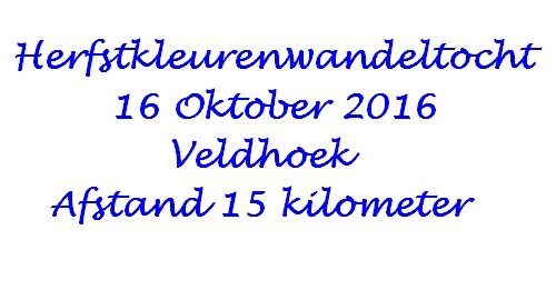 herfstkleurenwandeltochtteveldhoek.jpg