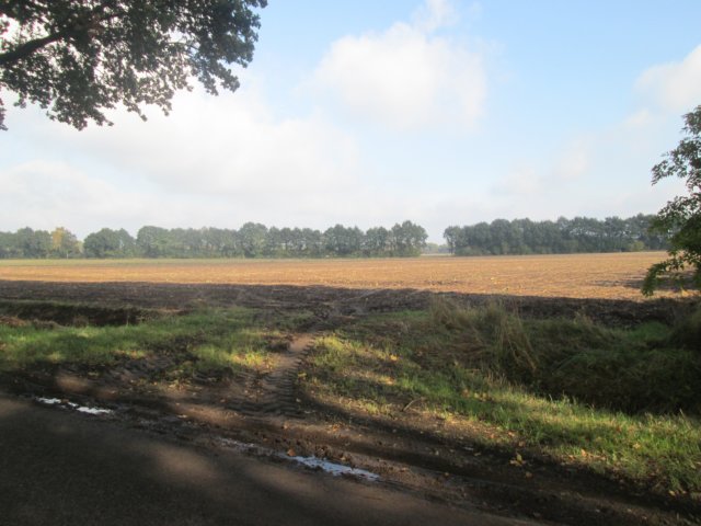 img_1676.jpg