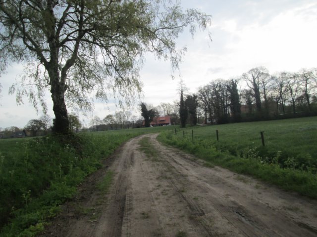 img_9767.jpg