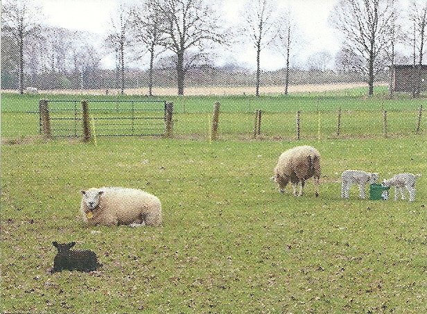 wandelboekplaatje.jpg