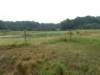 dscn0101_small.jpg