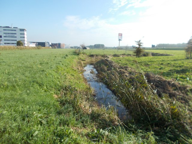 dscn2598.jpg