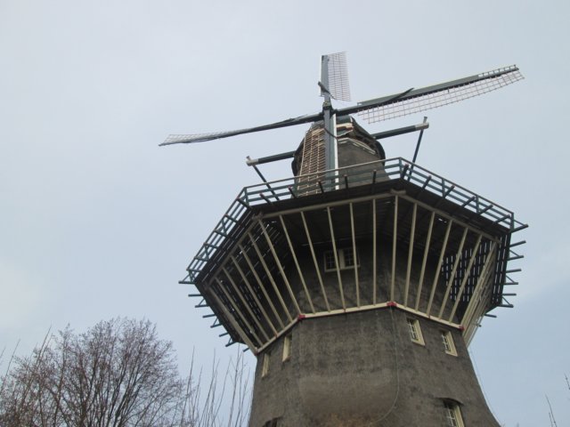 img_3487.jpg