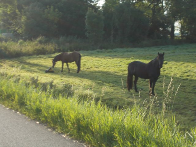 dscn1657.jpg