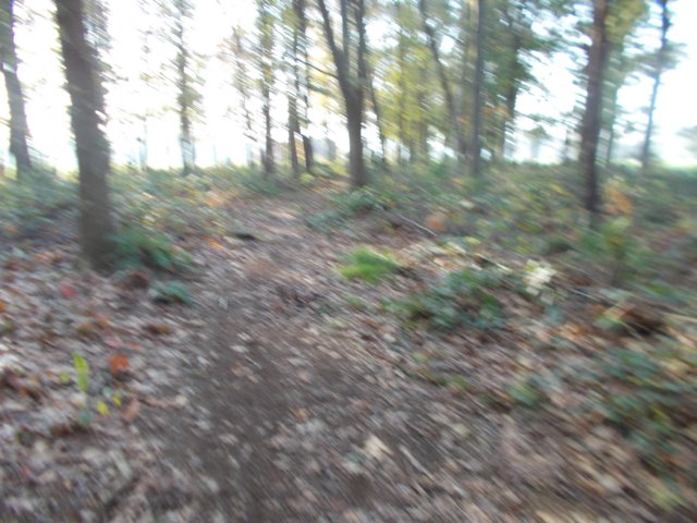 dscn2962.jpg
