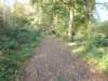dscn2969_small.jpg