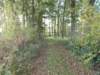 dscn2971_small.jpg