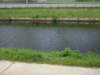 img_4914_small.jpg