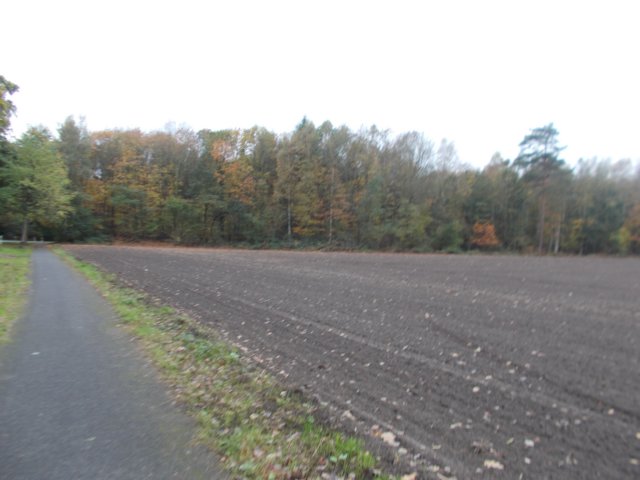 dscn2834.jpg