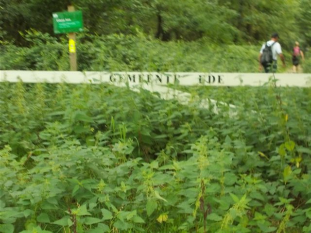 dscn1257.jpg