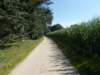 dscn1295_small.jpg