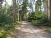 dscn1417_small.jpg