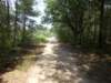 dscn1452_small.jpg