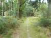 dscn1459_small.jpg