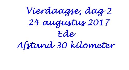 vierdaagseteededag2.jpg