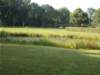 dscn1497_small.jpg