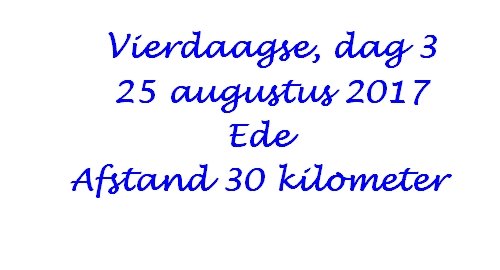 vierdaagseteede.jpg