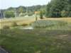 dscn1631_small.jpg