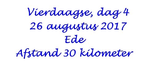 vierdaagseteededag4.jpg