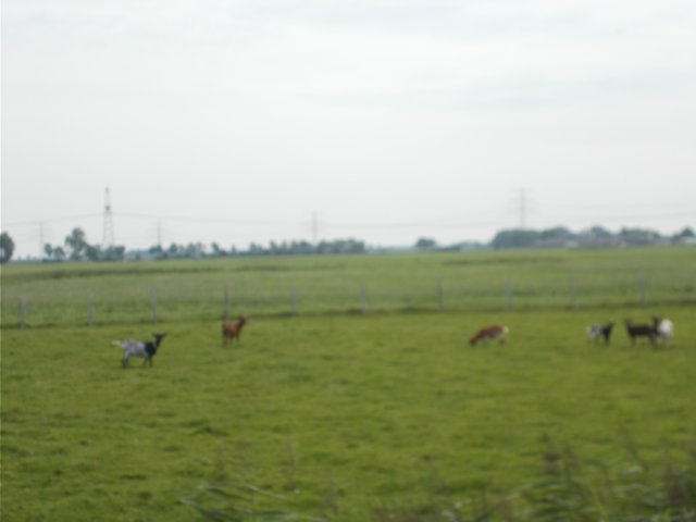 dscn1033.jpg