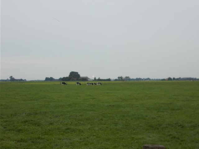 dscn1065.jpg