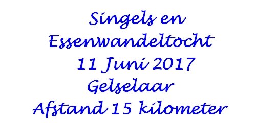 singelsenessenwandeltochttegelselaar.jpg