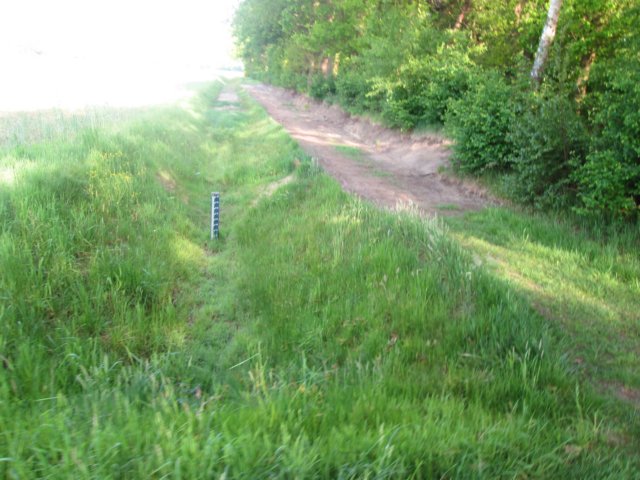 img_5204.jpg