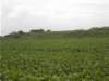 dscn0863_small.jpg