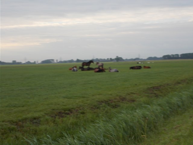 dscn0013.jpg