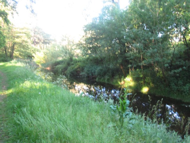img_5600.jpg