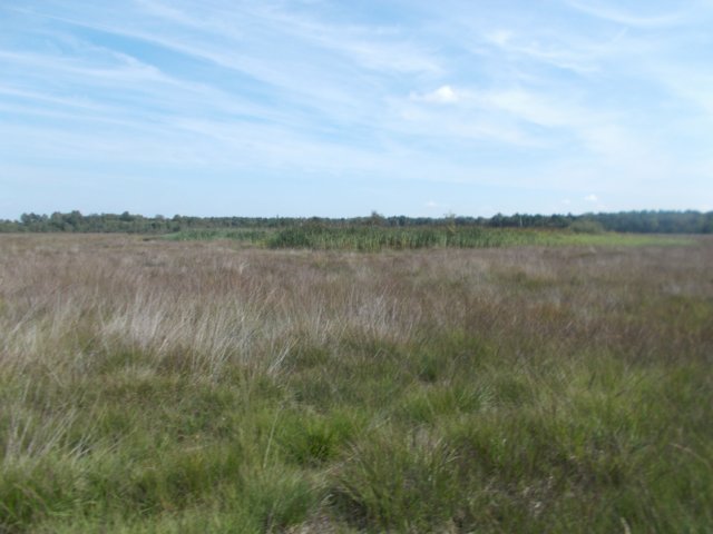 dscn1172.jpg