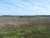 dscn1172_small.jpg