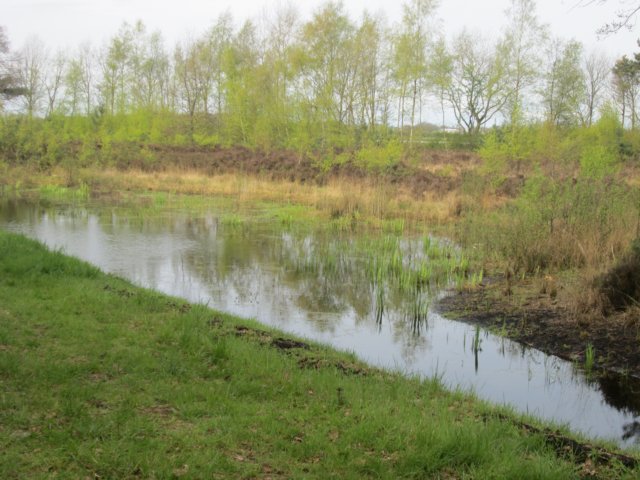 img_4461.jpg