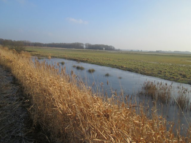 img_2461.jpg