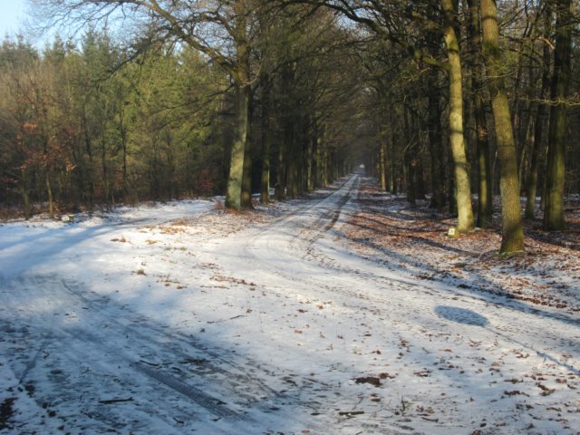 img_2354.jpg