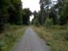 dscn0308_small.jpg
