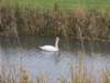 dscn2486_small.jpg