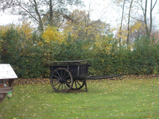 dscn3171.jpg