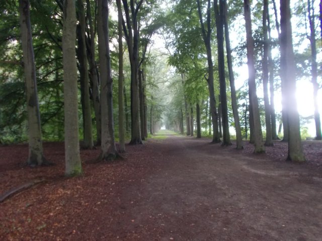 dscn0895.jpg